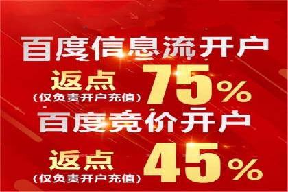 SEM外包服务优势案例分析