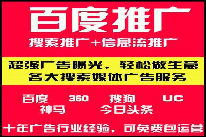 行业领先的SEM投放效果案例解析